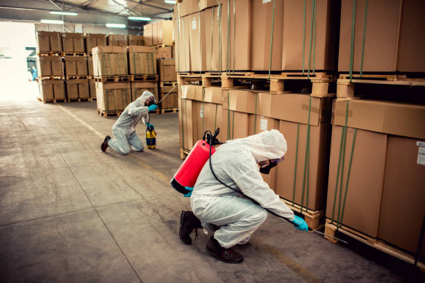 Best Best Pest Control Companies  in Pottsville, PA