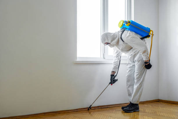 Best Best Pest Control Companies  in Pottsville, PA