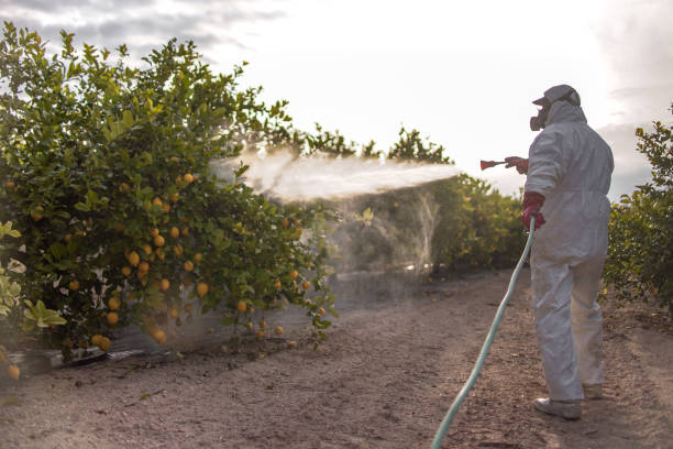 Best Affordable Pest Control Services  in Pottsville, PA