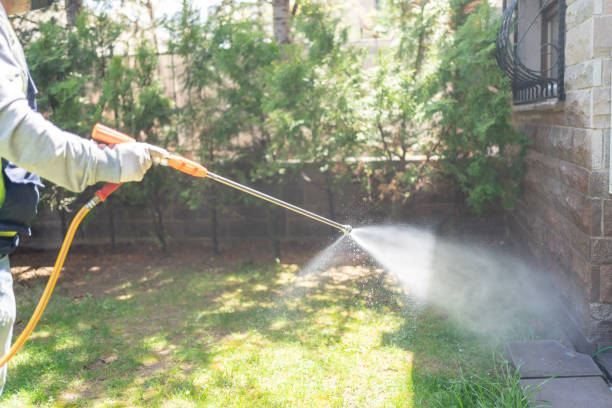 Trusted Pottsville, PA Pest Control Experts
