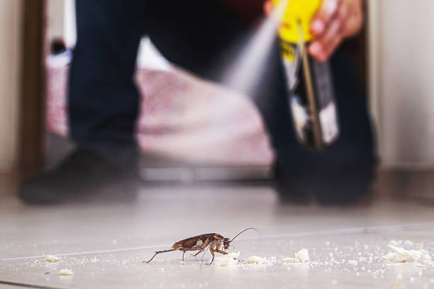 Best Best Pest Control Companies  in Pottsville, PA