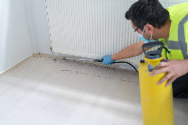 Best Affordable Pest Control Services  in Pottsville, PA