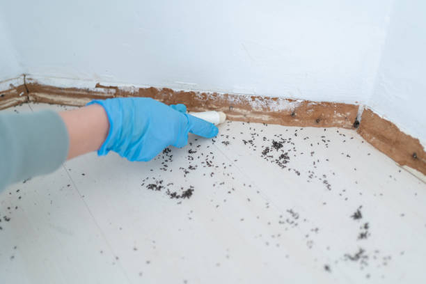 Best Pest Inspection Near Me  in Pottsville, PA